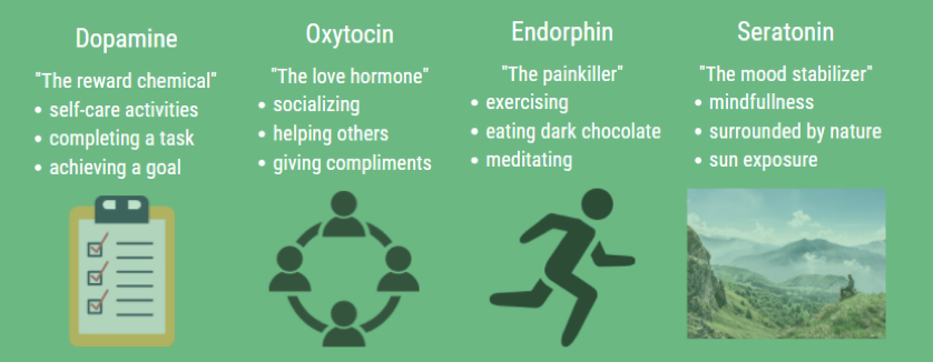 Chart depicting the key features of Dopamine, Oxytocin, Endorphin and Seratonin related to increase employee engagement